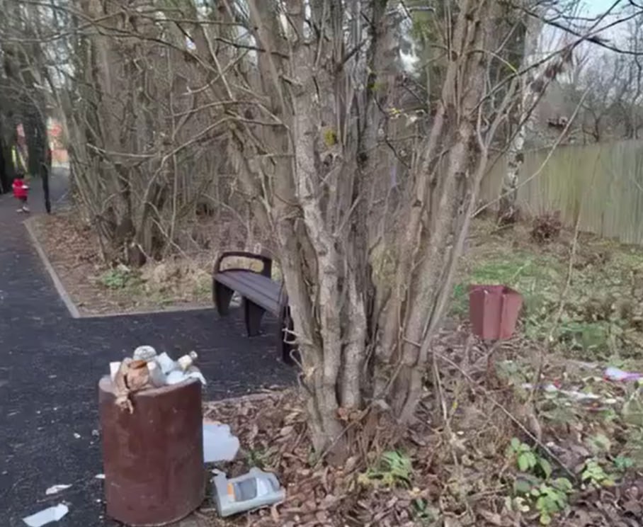 &quot;Тропа Здоровья&quot; в Боровском районе может &quot;утонуть&quot; в мусоре