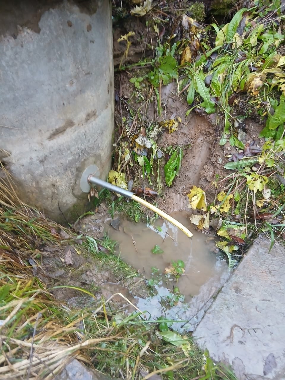 Жители Балабаново своими силами приводят в порядок родник