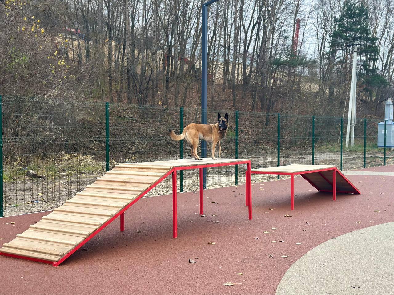 Калуга получила обновленную площадку для дрессировки собак