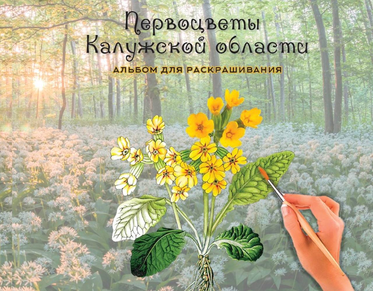 Министерство природных ресурсов Калужской области представило детскую книжку-раскраску «Первоцвет...