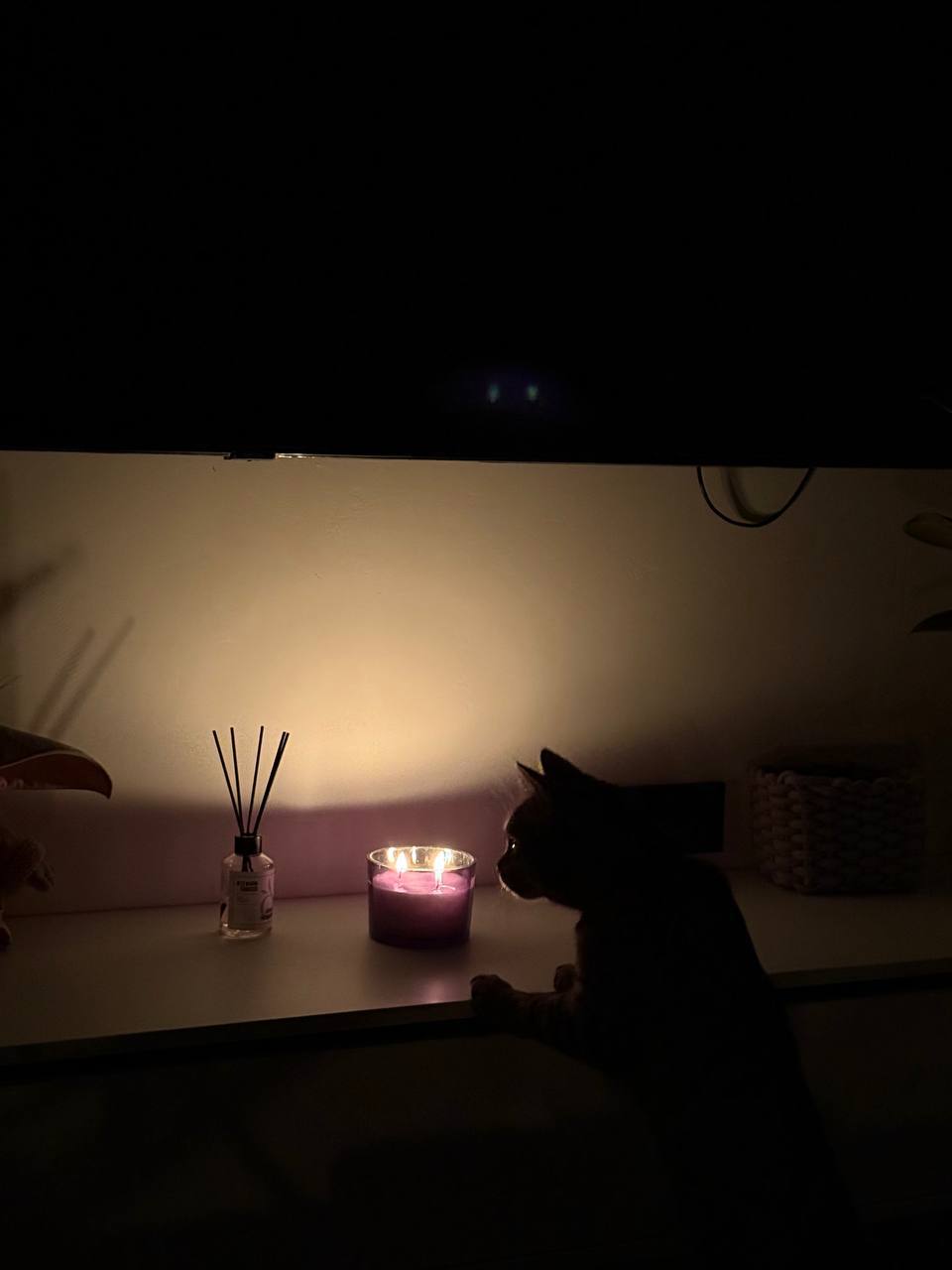 В Обнинске жители десяти СНТ остались без электричества со вчерашнего вечера. По словам граждан, ...