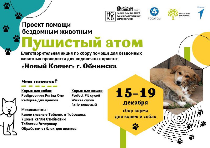 В Обнинске стартовала акция «Пушистый атом»!

В преддверии Нового года давайте поможем бездомным ...